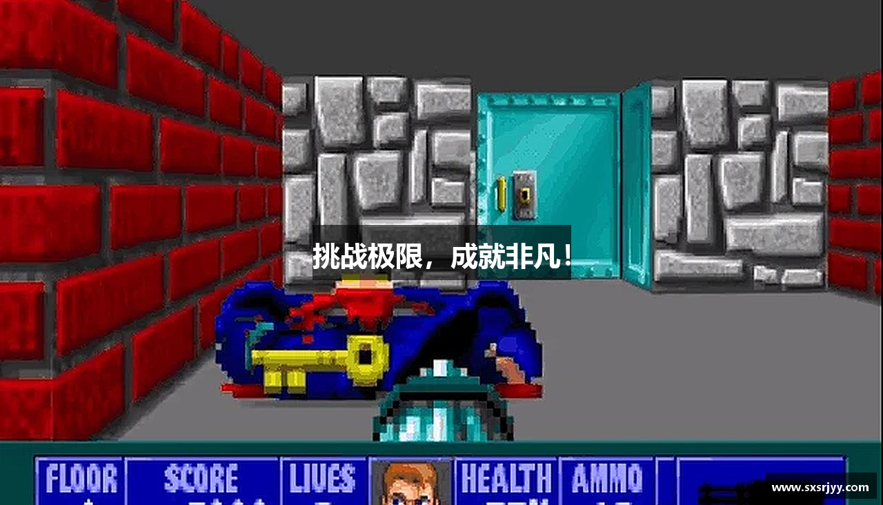 挑战极限，成就非凡！